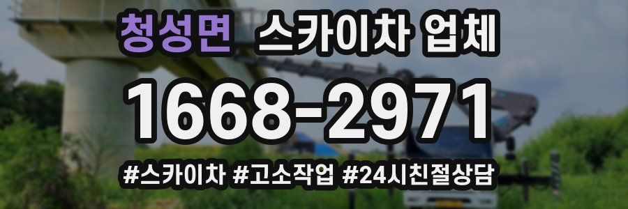 청성면 스카이차 업체