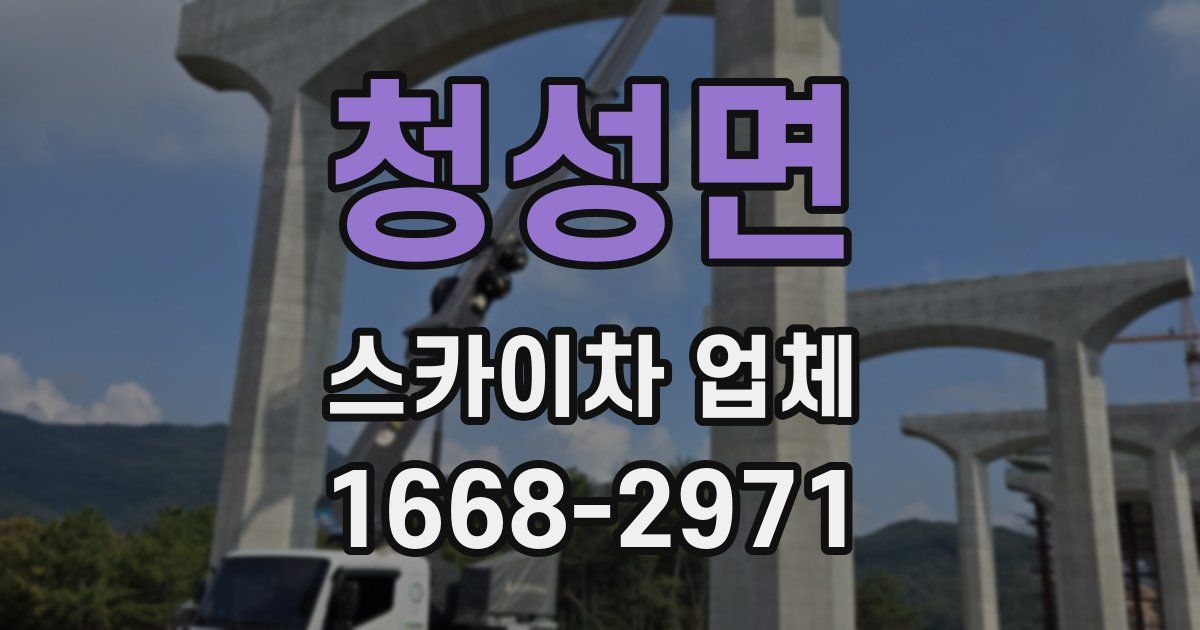 청성면 스카이차 업체