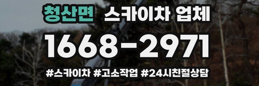 청산면 스카이차 업체