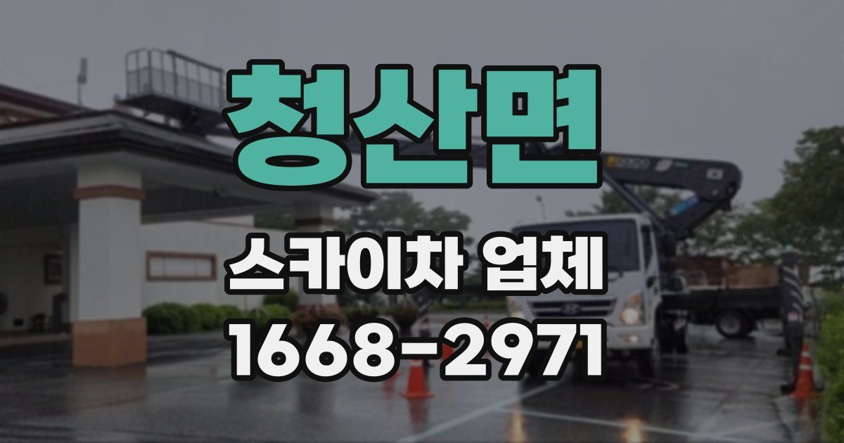 청산면 스카이차 업체