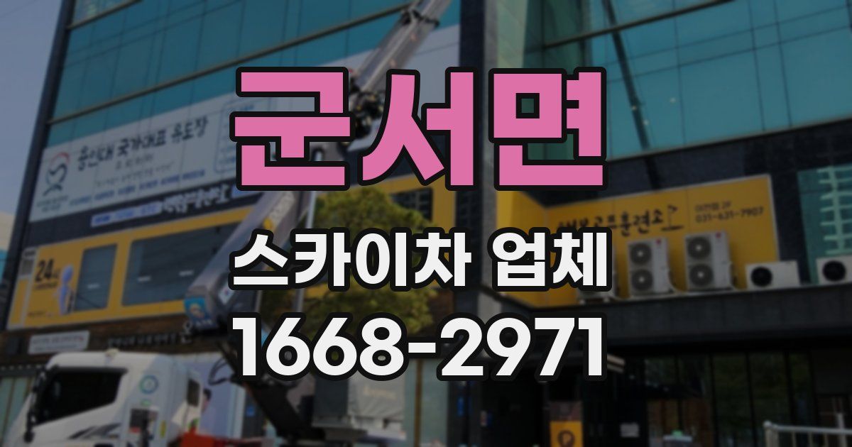 군서면 스카이차 업체
