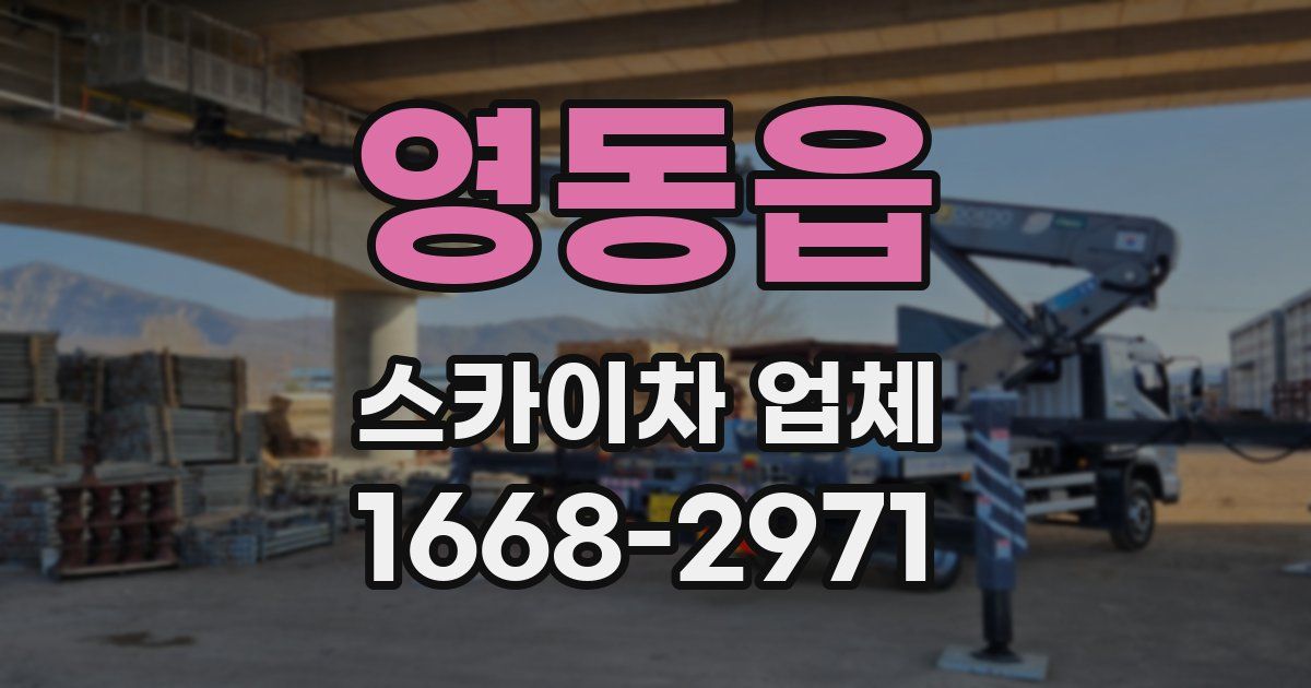 영동읍 스카이차 업체