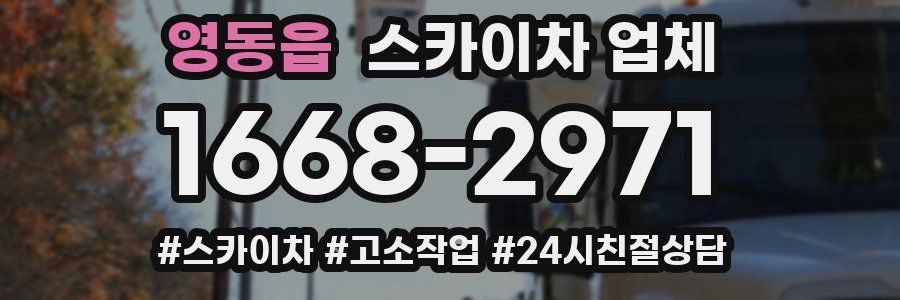 영동읍 스카이차 업체