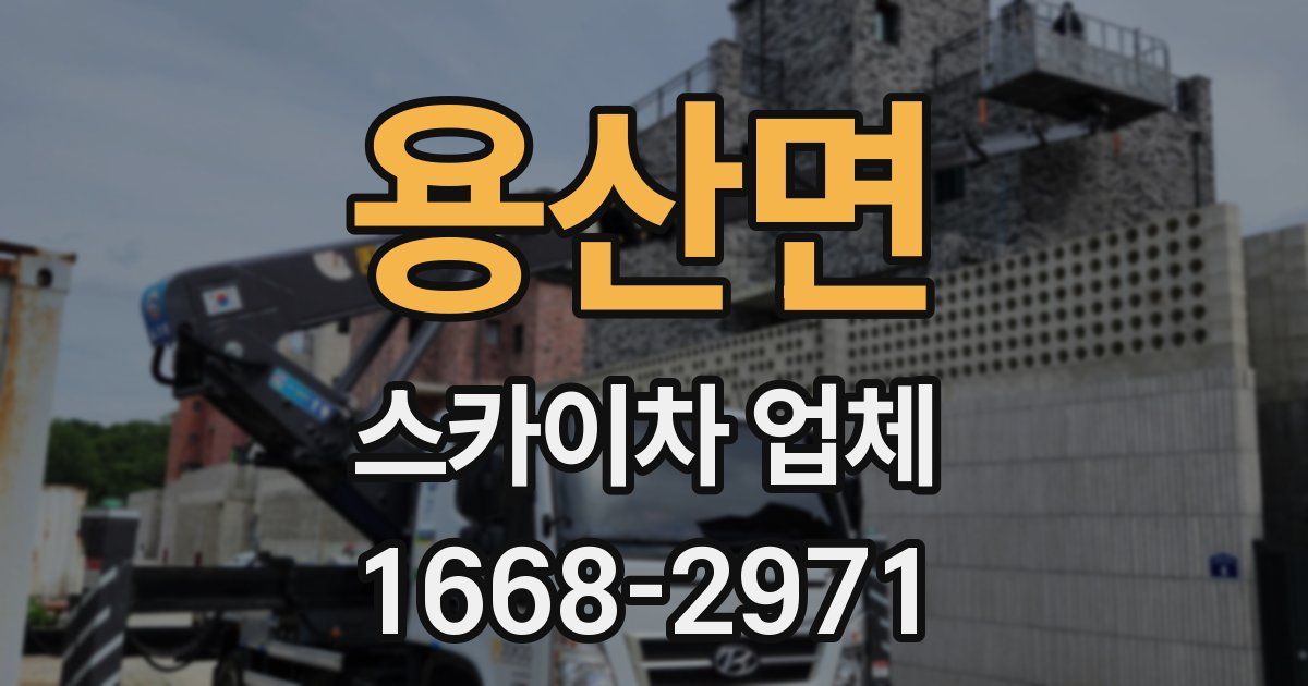 용산면 스카이차 업체
