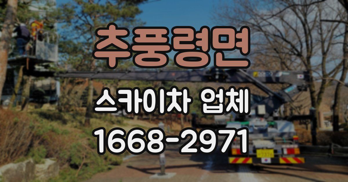 추풍령면 스카이차 업체