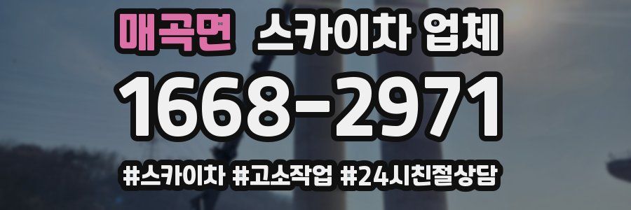매곡면 스카이차 업체