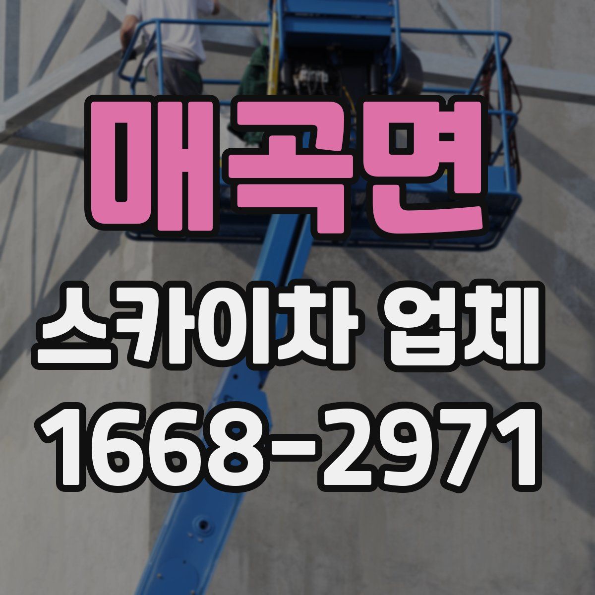 매곡면 스카이차 업체