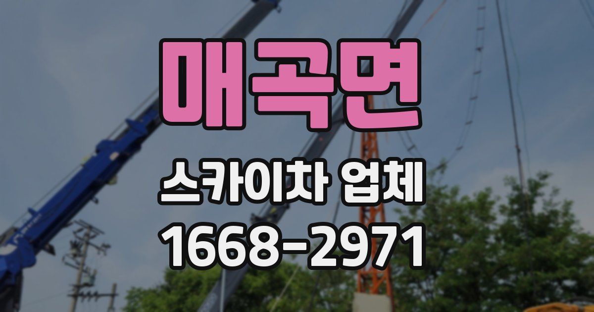 매곡면 스카이차 업체