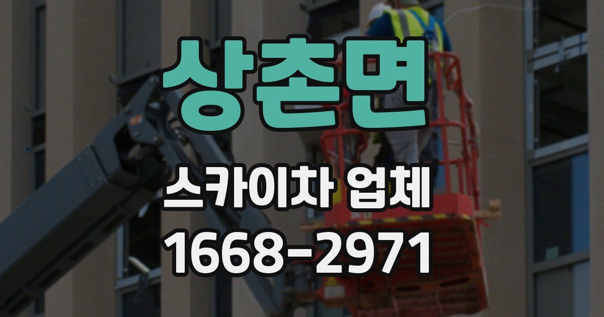 상촌면 스카이차 업체
