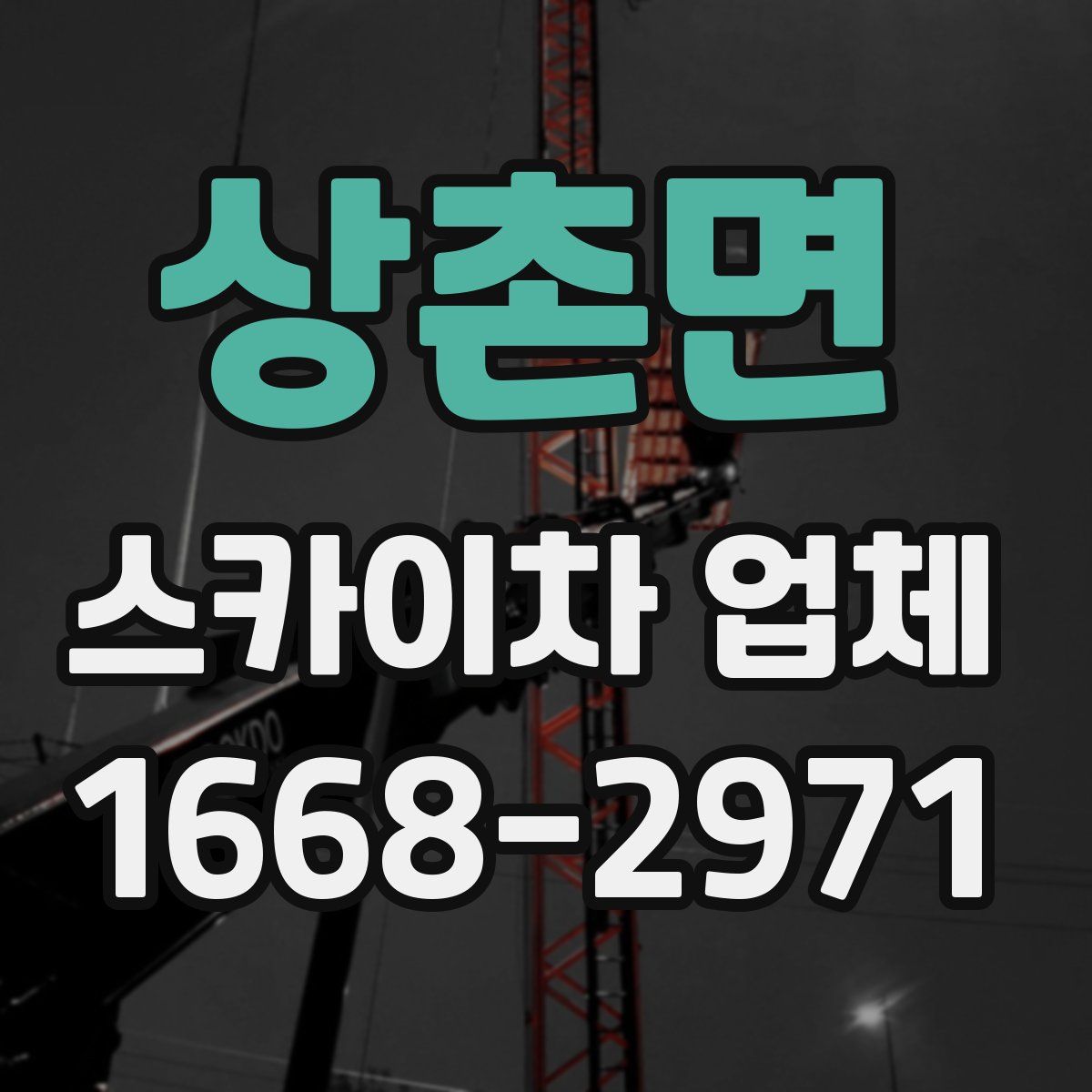 상촌면 스카이차 업체