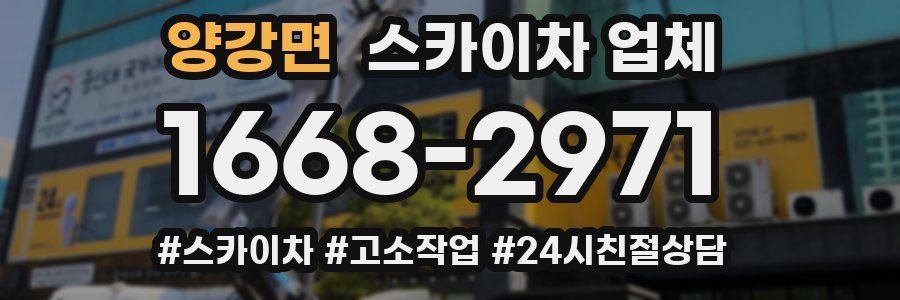 양강면 스카이차 업체