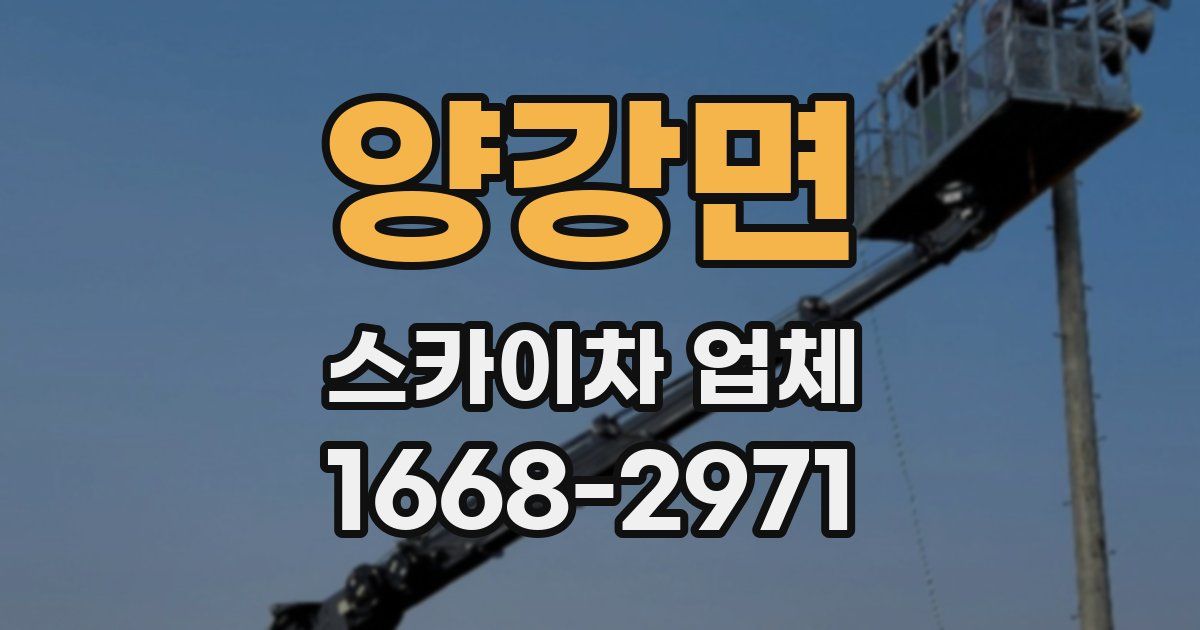 양강면 스카이차 업체