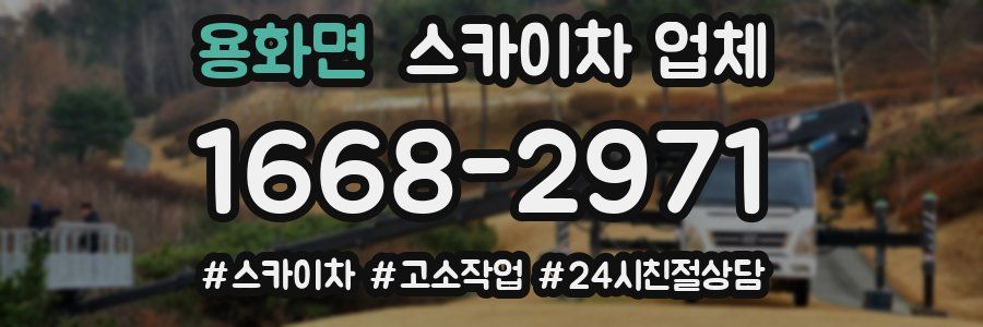 용화면 스카이차 업체