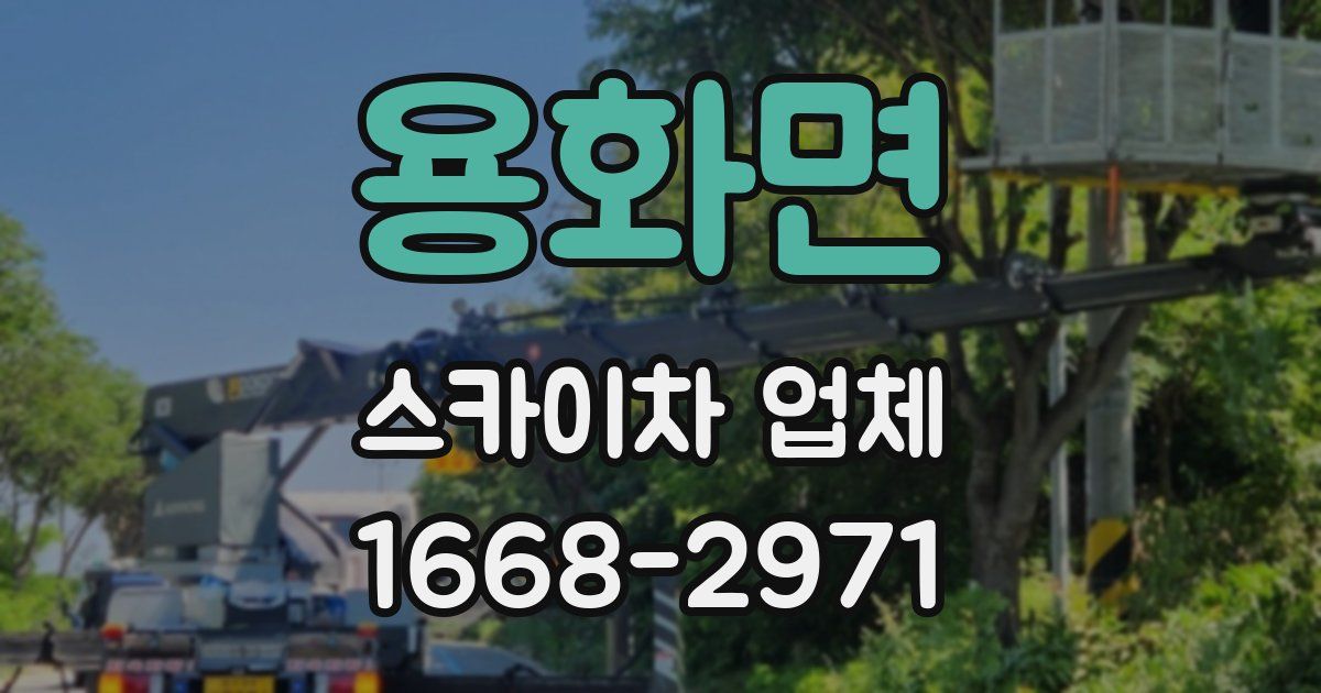 용화면 스카이차 업체