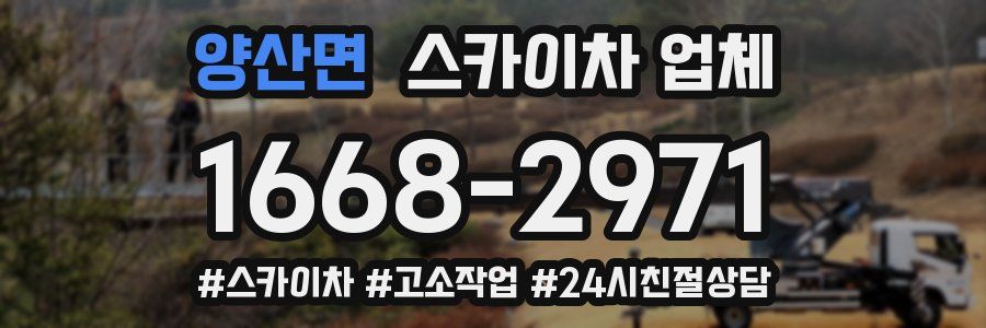 양산면 스카이차 업체