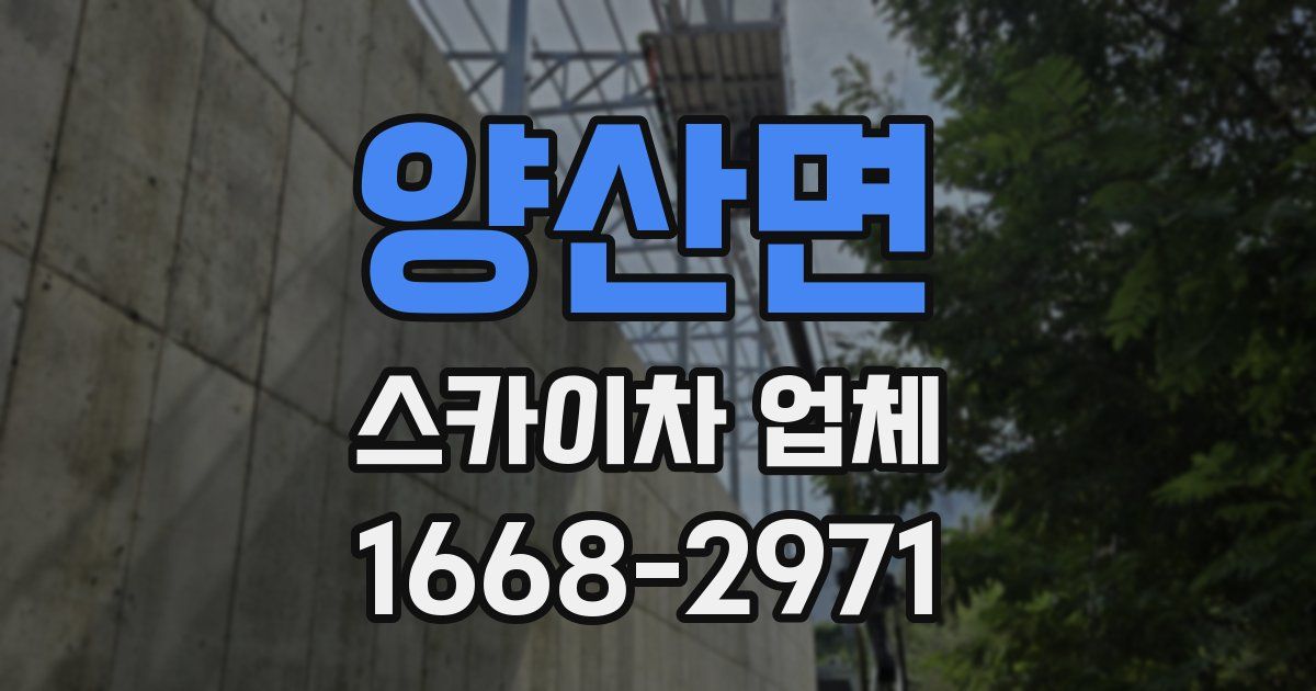 양산면 스카이차 업체