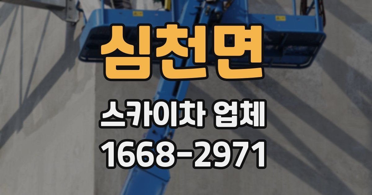 심천면 스카이차 업체