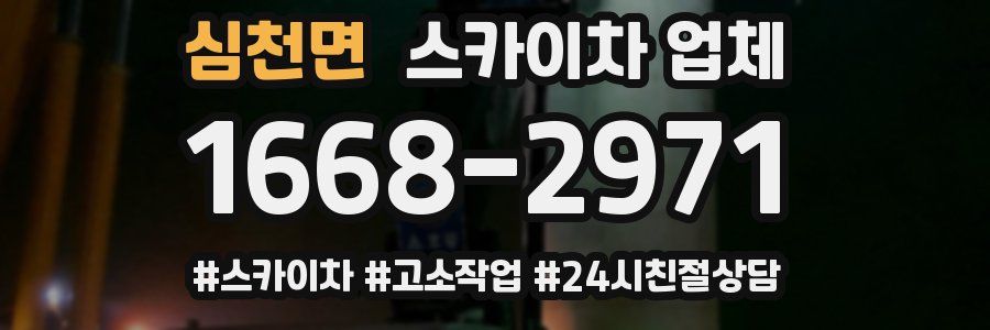 심천면 스카이차 업체