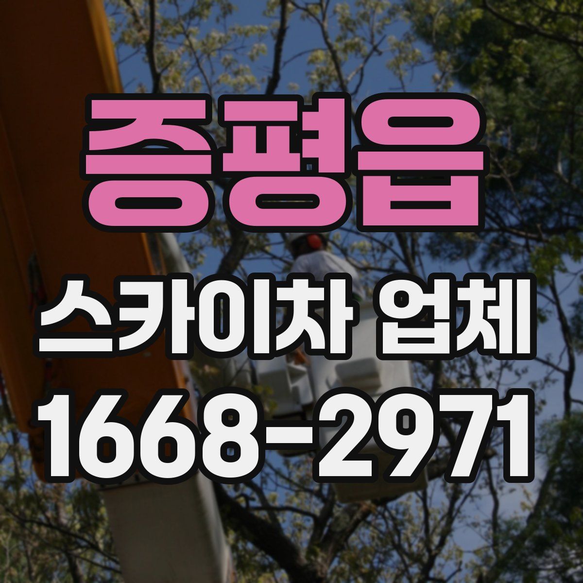 증평읍 스카이차 업체