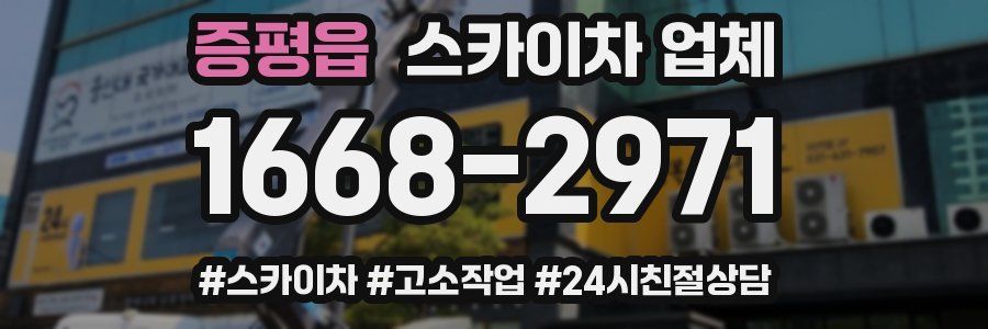 증평읍 스카이차 업체