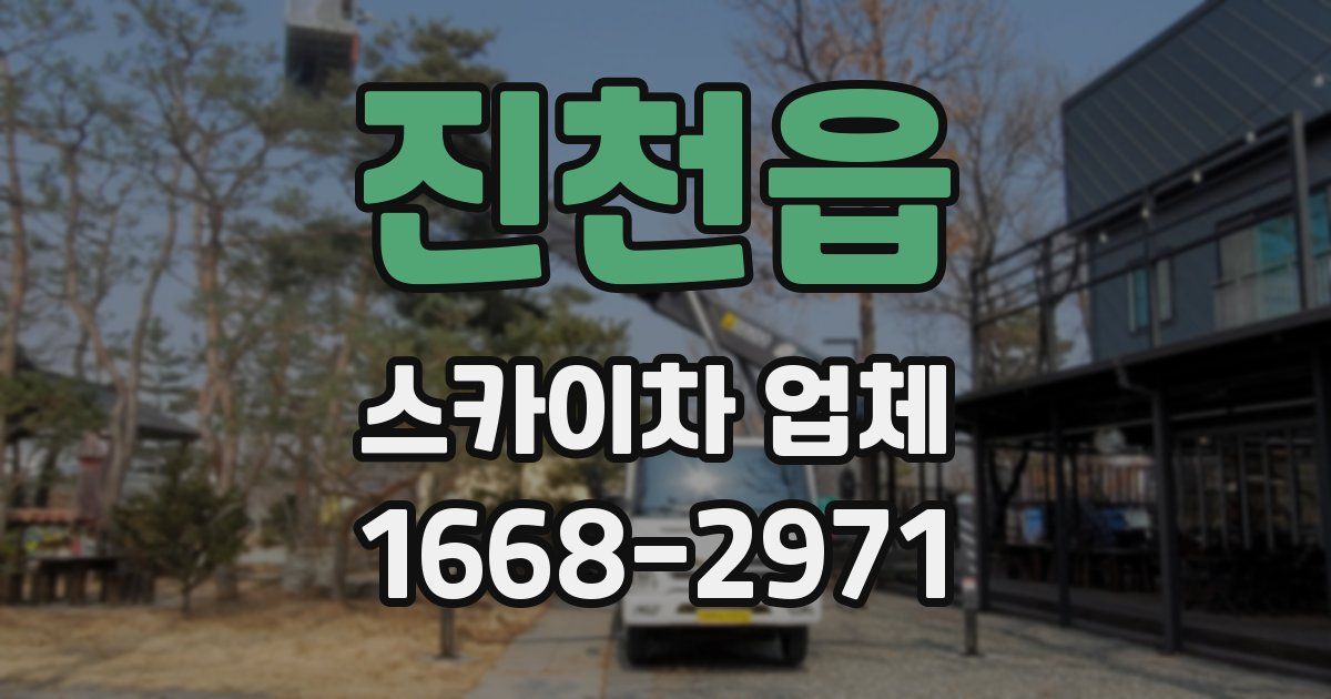 진천읍 스카이차 업체