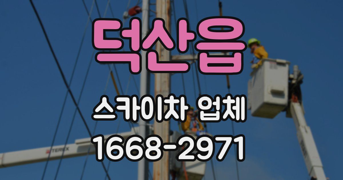 덕산읍 스카이차 업체