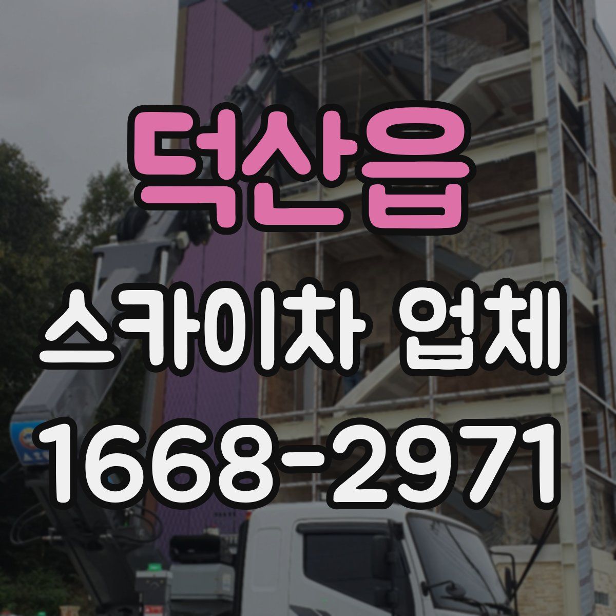 덕산읍 스카이차 업체