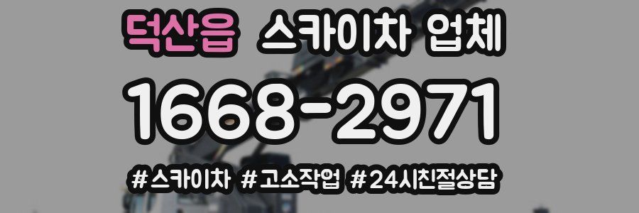 덕산읍 스카이차 업체
