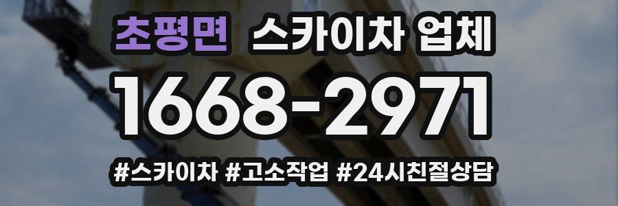 초평면 스카이차 업체