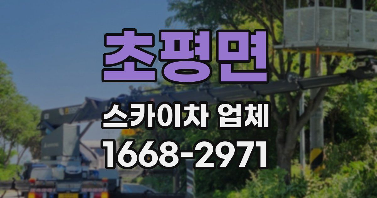 초평면 스카이차 업체