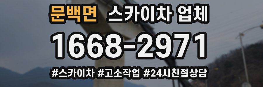 문백면 스카이차 업체