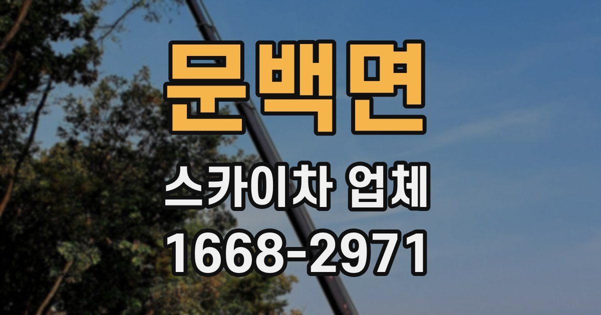문백면 스카이차 업체
