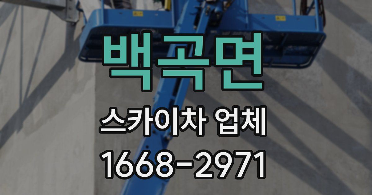 백곡면 스카이차 업체