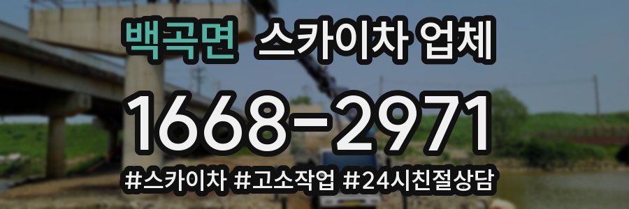 백곡면 스카이차 업체
