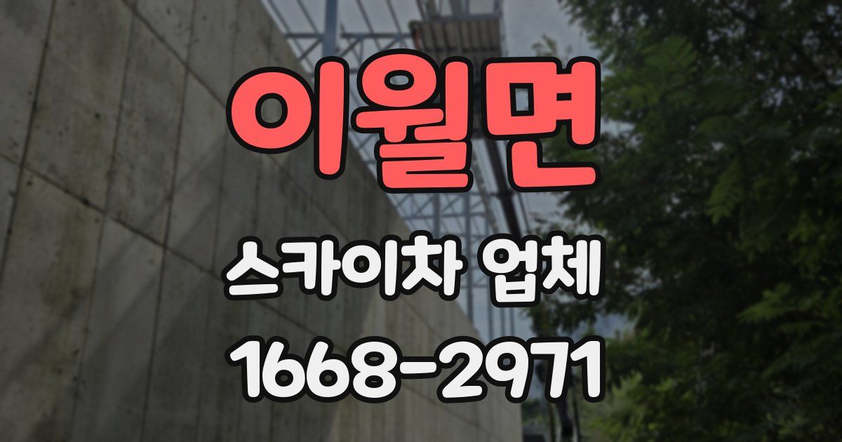이월면 스카이차 업체