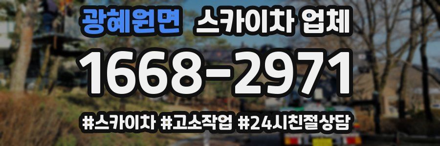 광혜원면 스카이차 업체