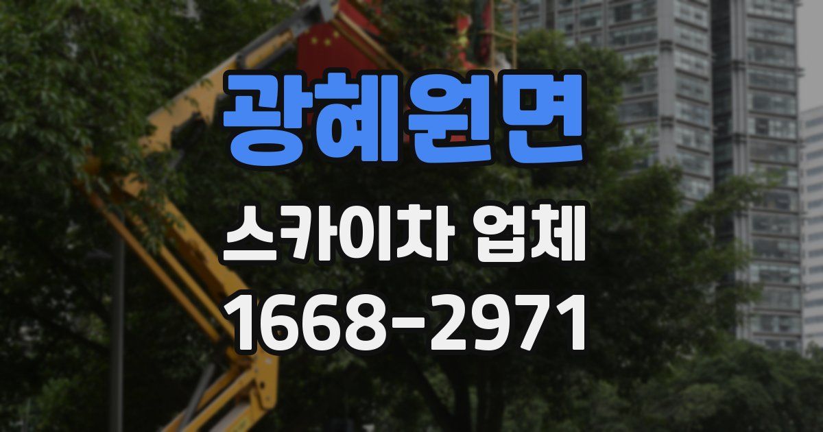 광혜원면 스카이차 업체