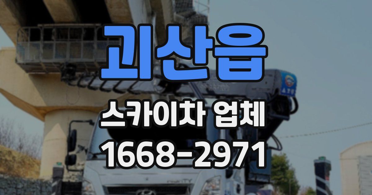 괴산읍 스카이차 업체