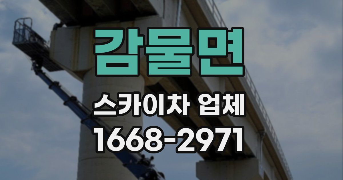 감물면 스카이차 업체