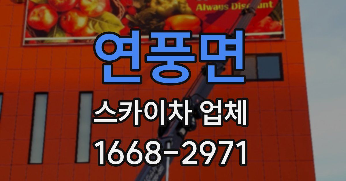 연풍면 스카이차 업체