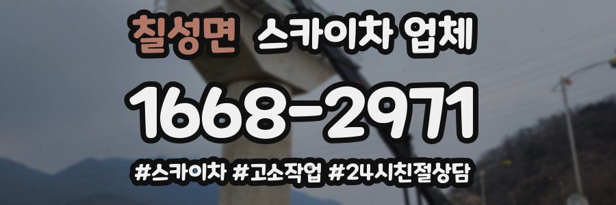 칠성면 스카이차 업체