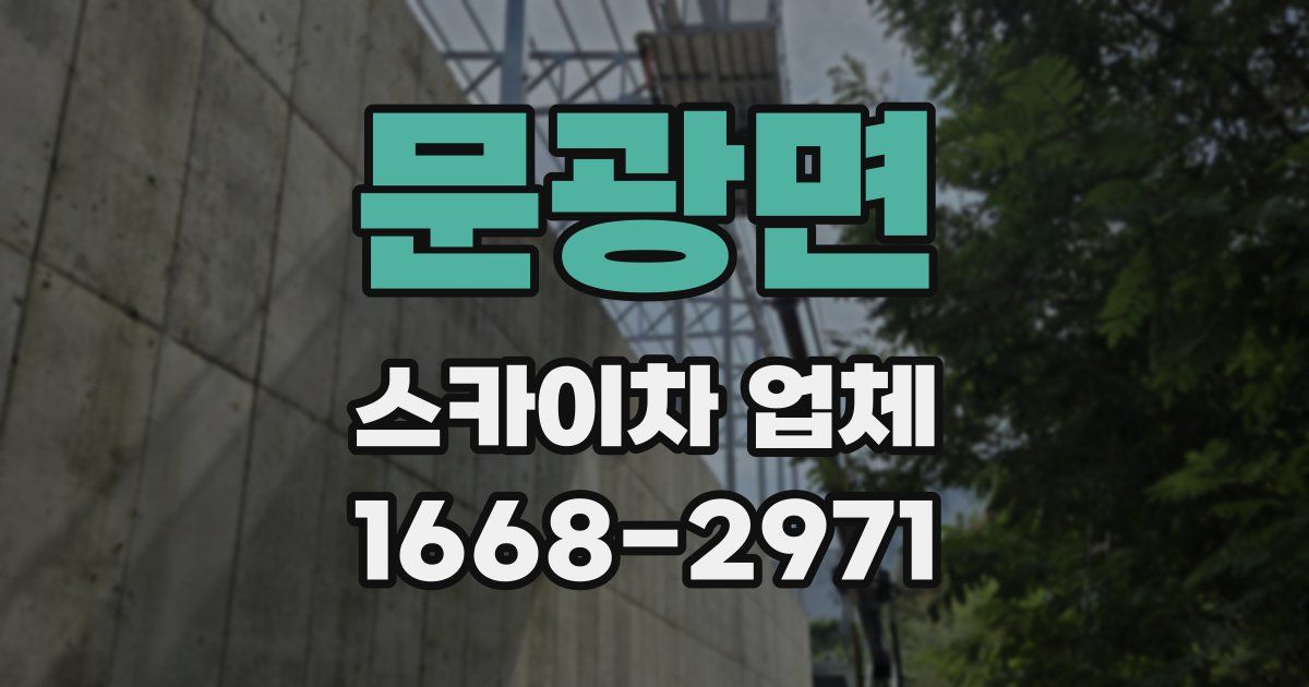 문광면 스카이차 업체