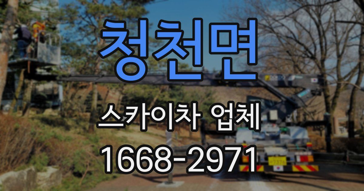 청천면 스카이차 업체