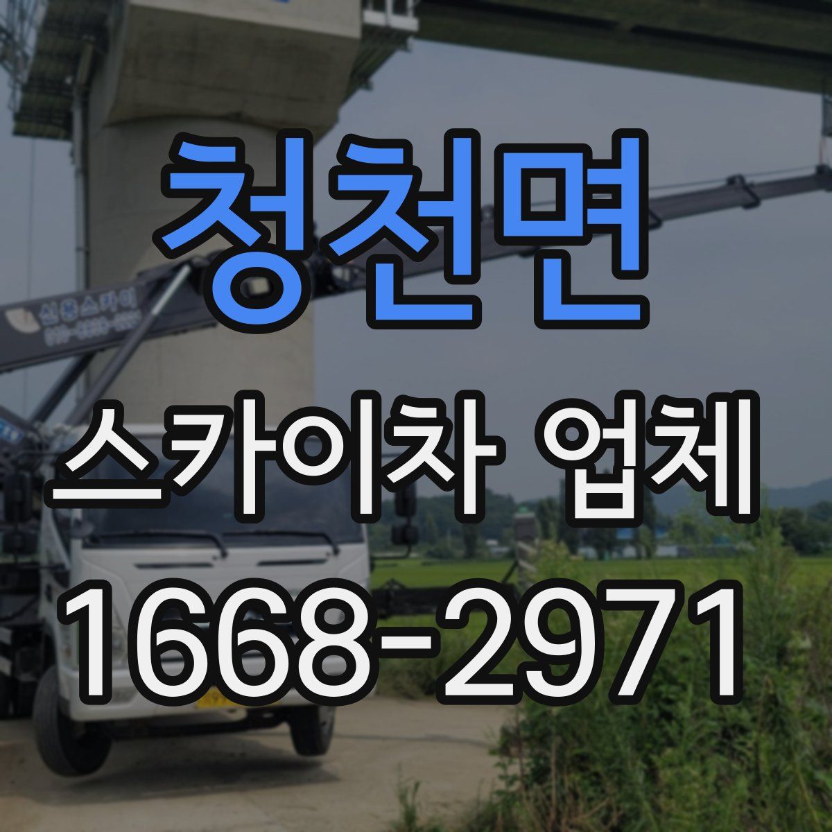 청천면 스카이차 업체