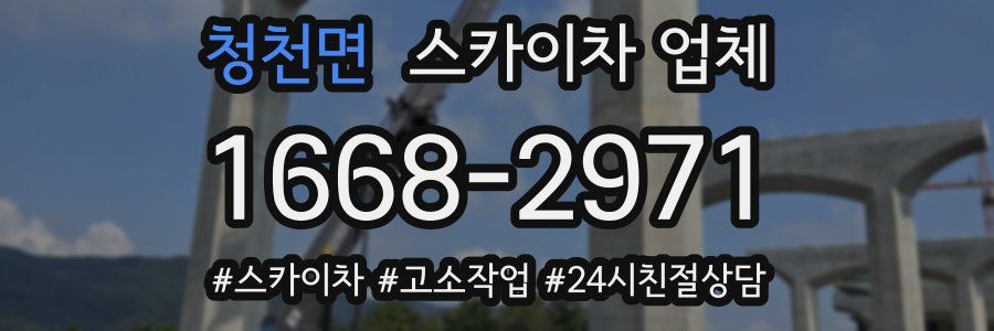 청천면 스카이차 업체