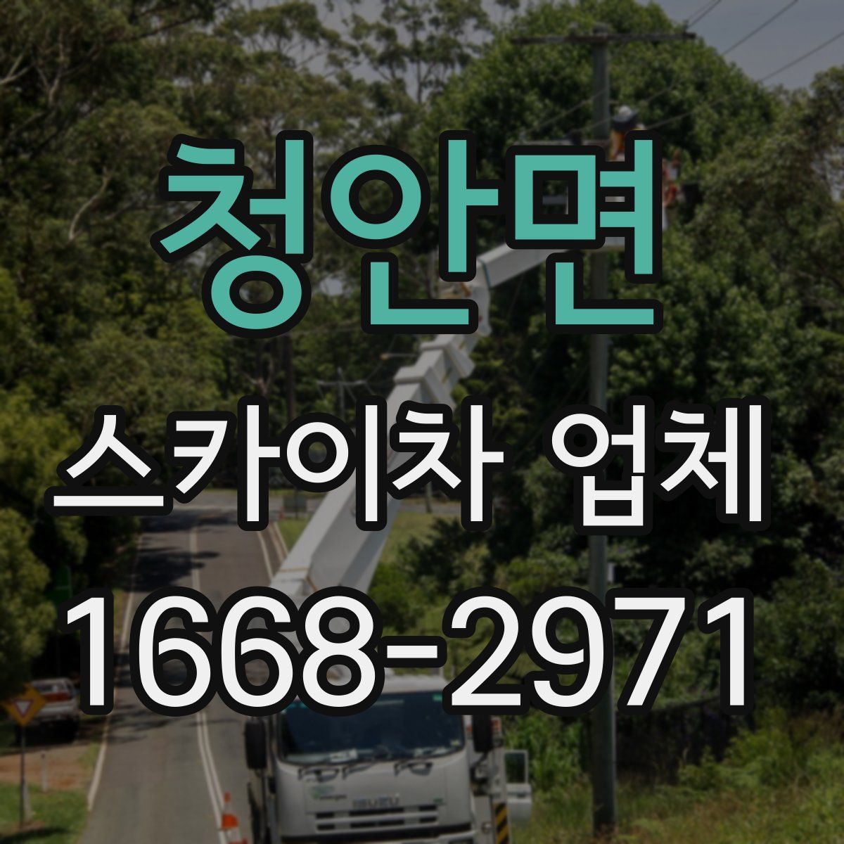 청안면 스카이차 업체