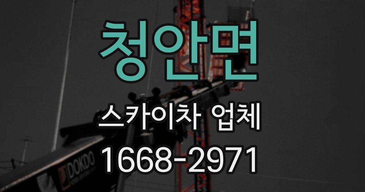 청안면 스카이차 업체