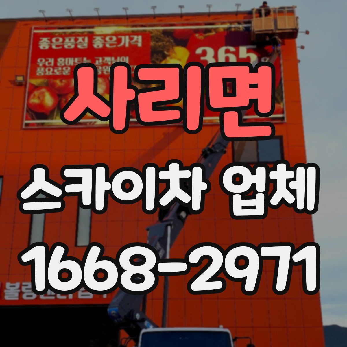사리면 스카이차 업체