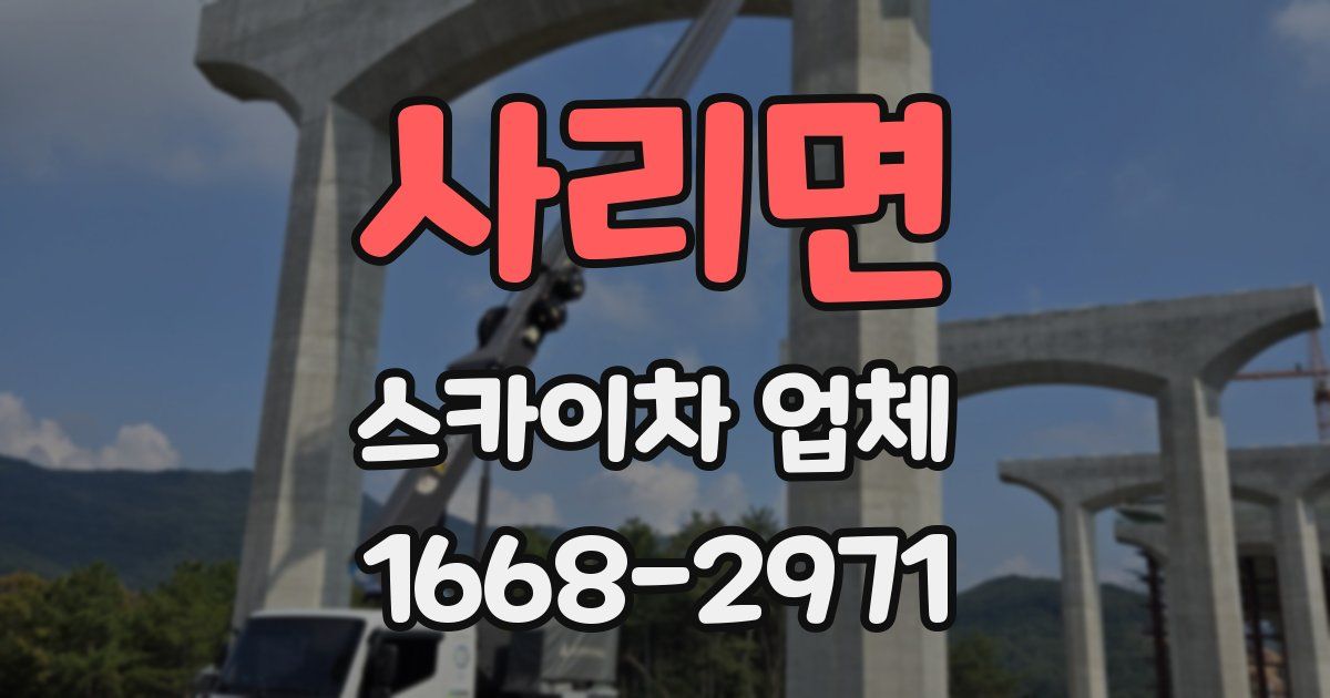 사리면 스카이차 업체