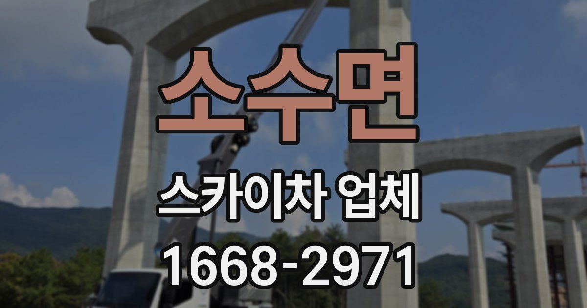 소수면 스카이차 업체